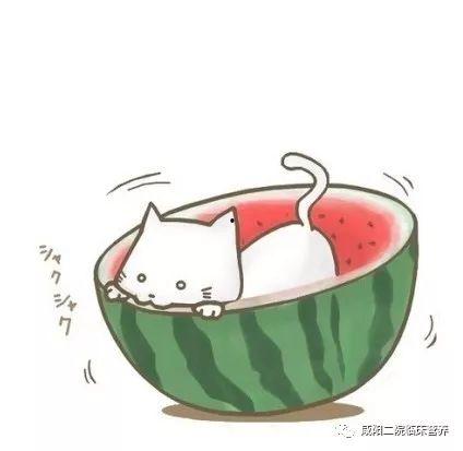 娱乐吃瓜群头像图片大全,趣味横生的形象盛宴